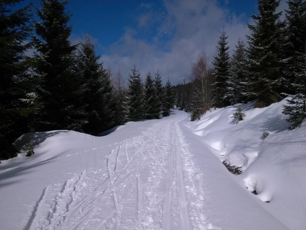 Pension & Restaurant Krakonos Harrachov Exteriör bild